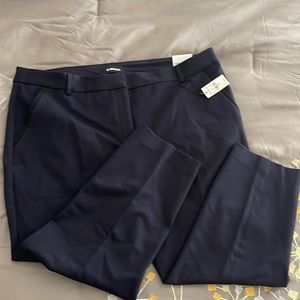 NWT Express Columnist Fitted Mid Rise Pants